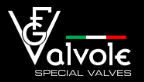 FG Valvole